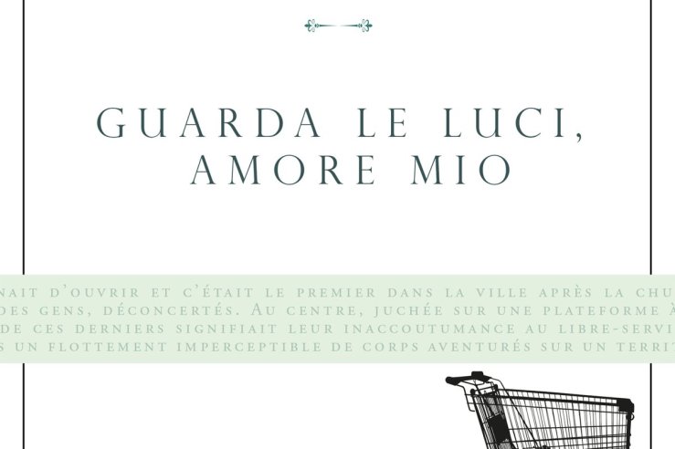 Recensione di Guarda le luci, amore mio del premio Nobel Annie&nbsp;Ernaux